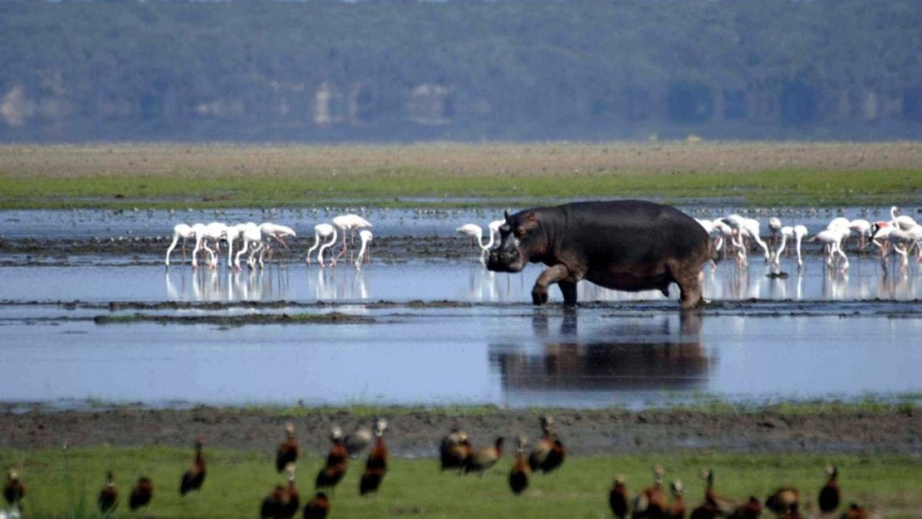  iSimangaliso Wetland Park in KZN upgraded a number of its facilities to enhance visitors’ experience.
