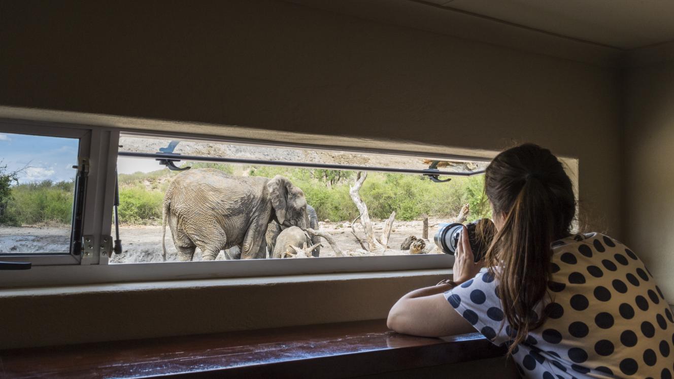 Upgrades enhance the game-viewing experience.