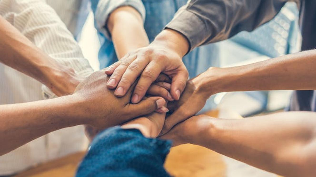 NTVIS kicks off in January 2019.