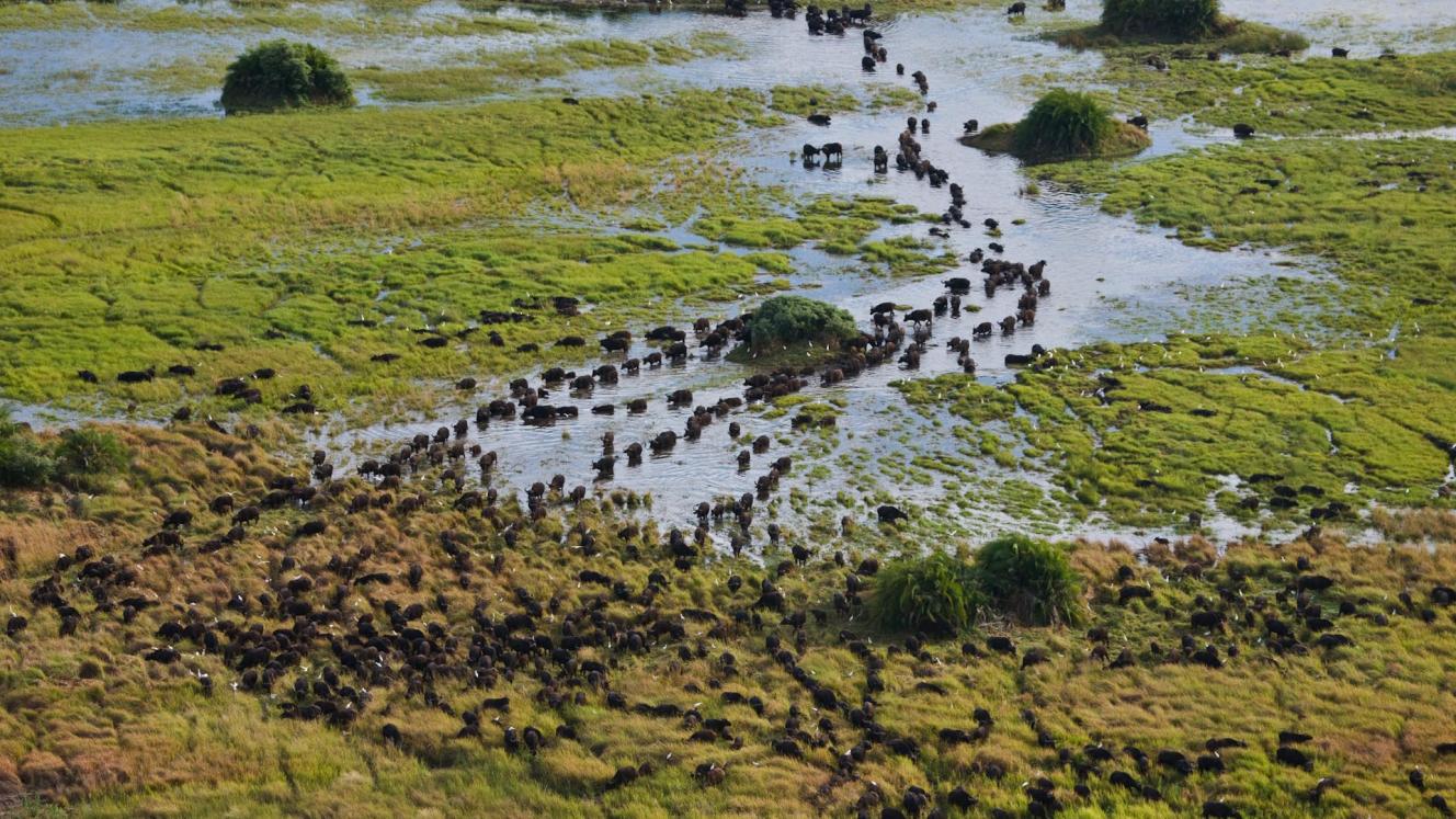 Aerial view of a Botswana landscape.