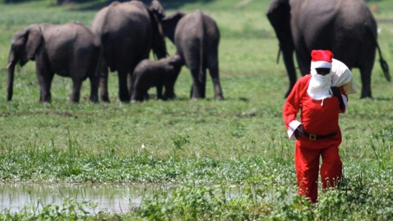 Opting for warmer weather, vibrant beaches, and authentic safari experiences, international travellers flock to Africa for a unique, Christmas experience in the sun.