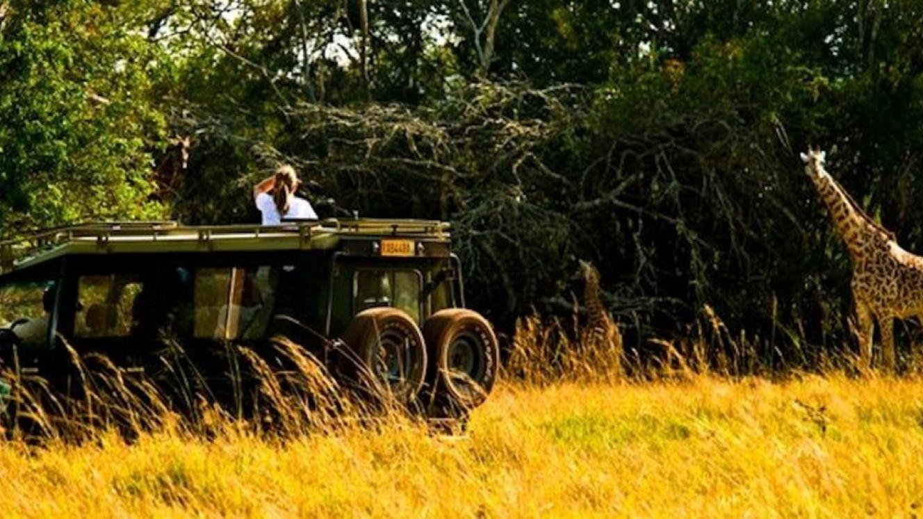 2018 was a successful year for Akagera National Park in Rwanda, posting a 20% visitor and revenue increase.