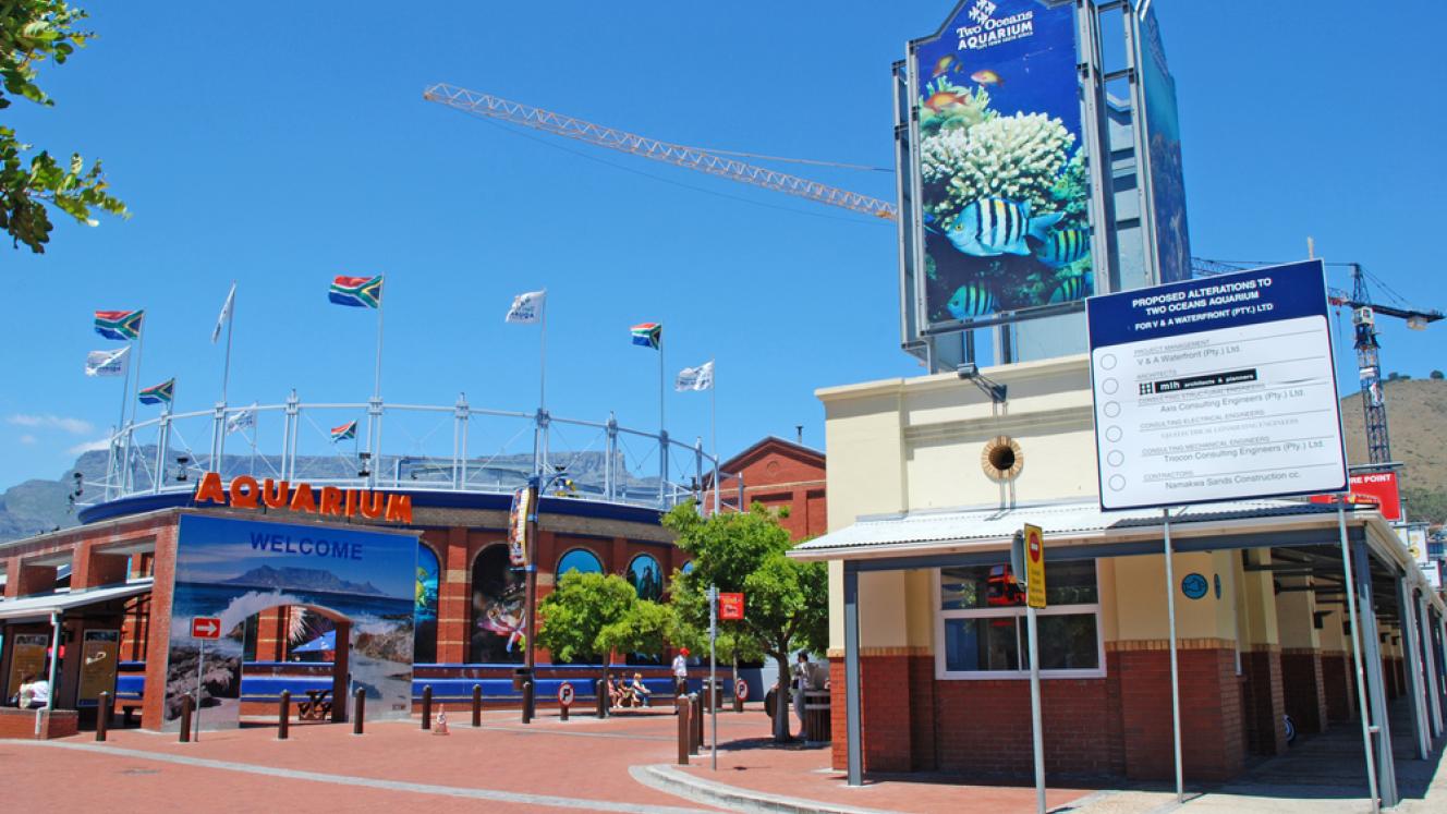 The Two Oceans Aquarium celebrates the reopening of its Kelp Forest Exhibit following several years of renovations.