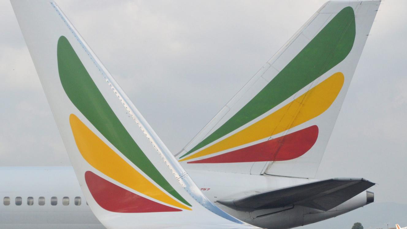 As Ethiopian’s Mozambique Airlines enters the market, the trade hopes to see lower airfares from other players.