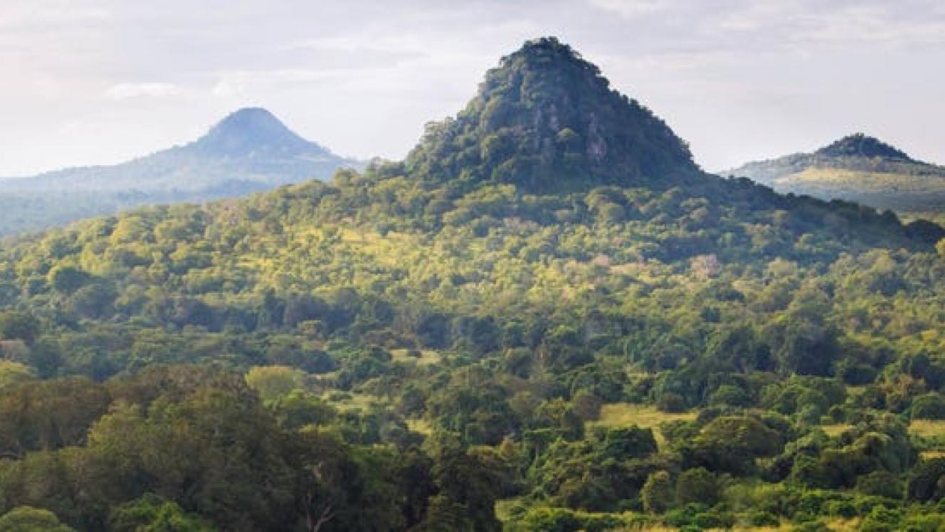 New luxury tented camp to open in Gorongosa National Park.