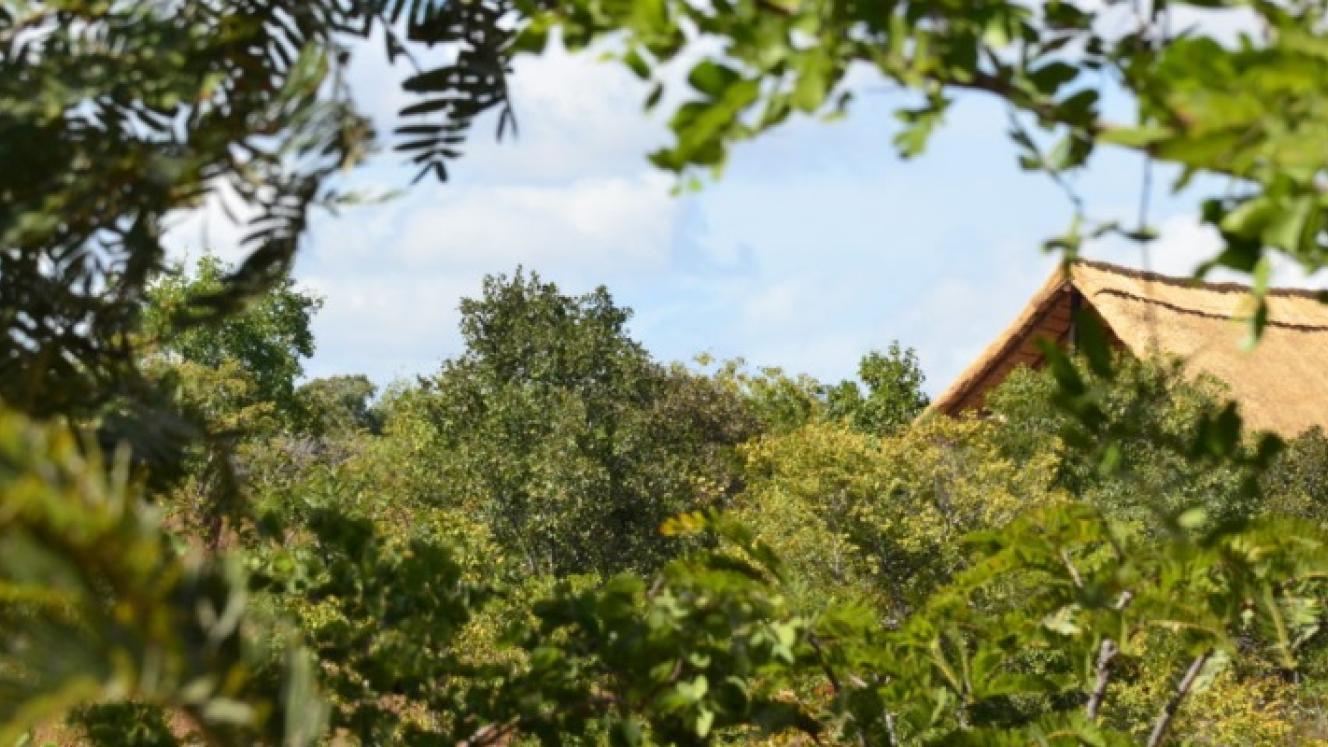 Rafiki Safari Camp in Malawi opened at the end of 2018, sporting luxury safari units and camping facilities. Credits: Rafiki Safari Camp.