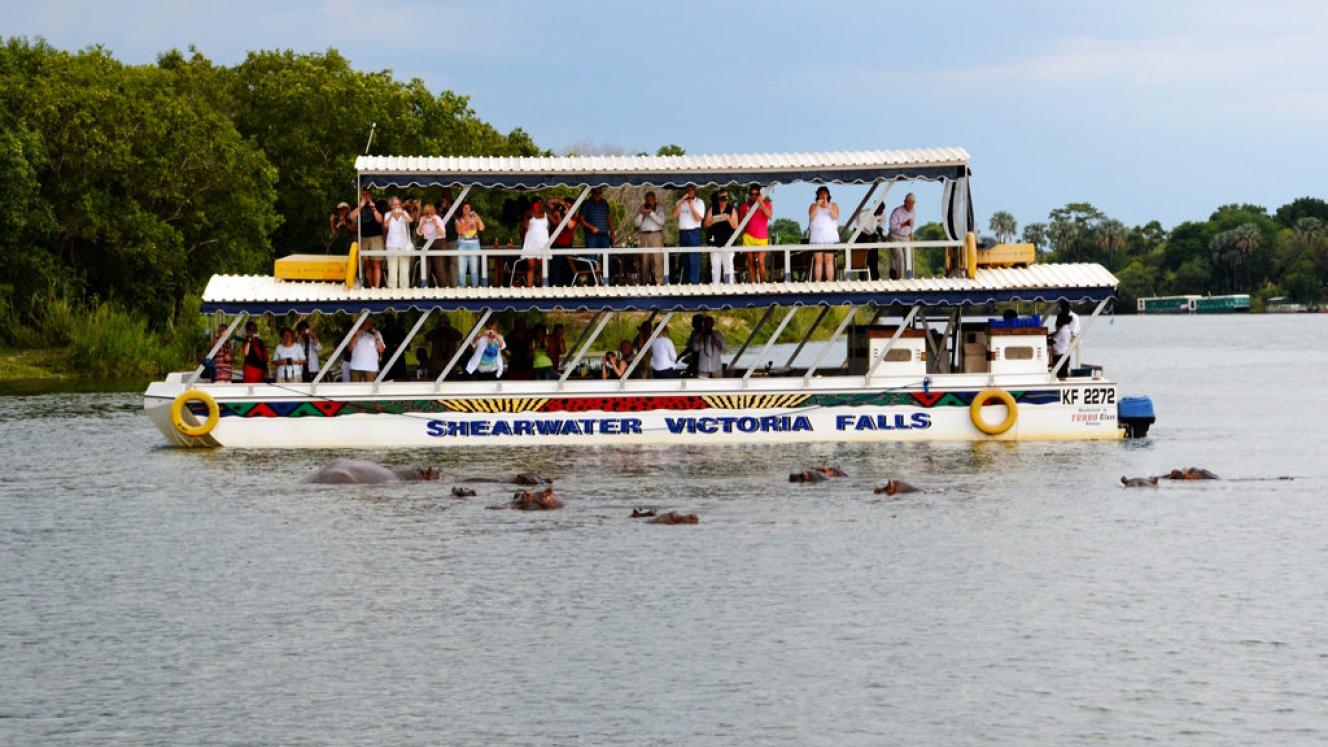 Additional cruises expand offering.