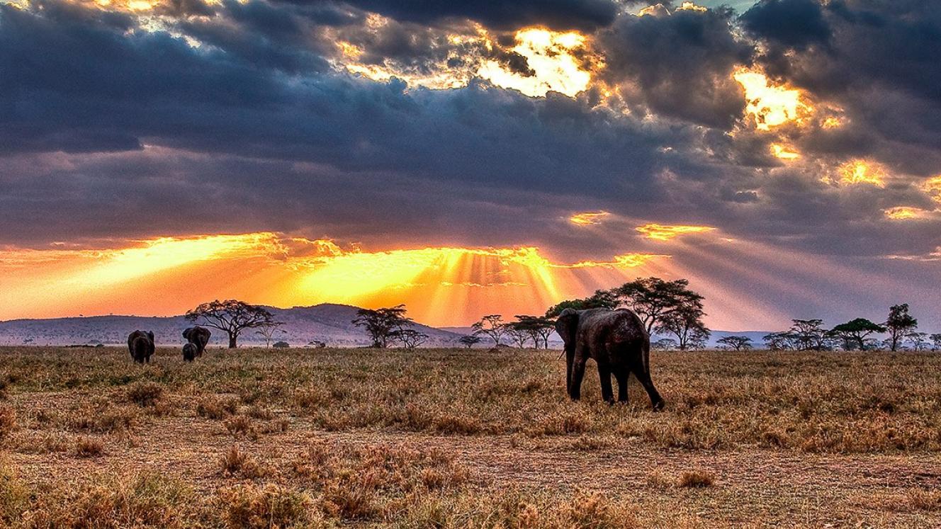 Two new lodges to open in Tanzania. Credit: Experience Africa.