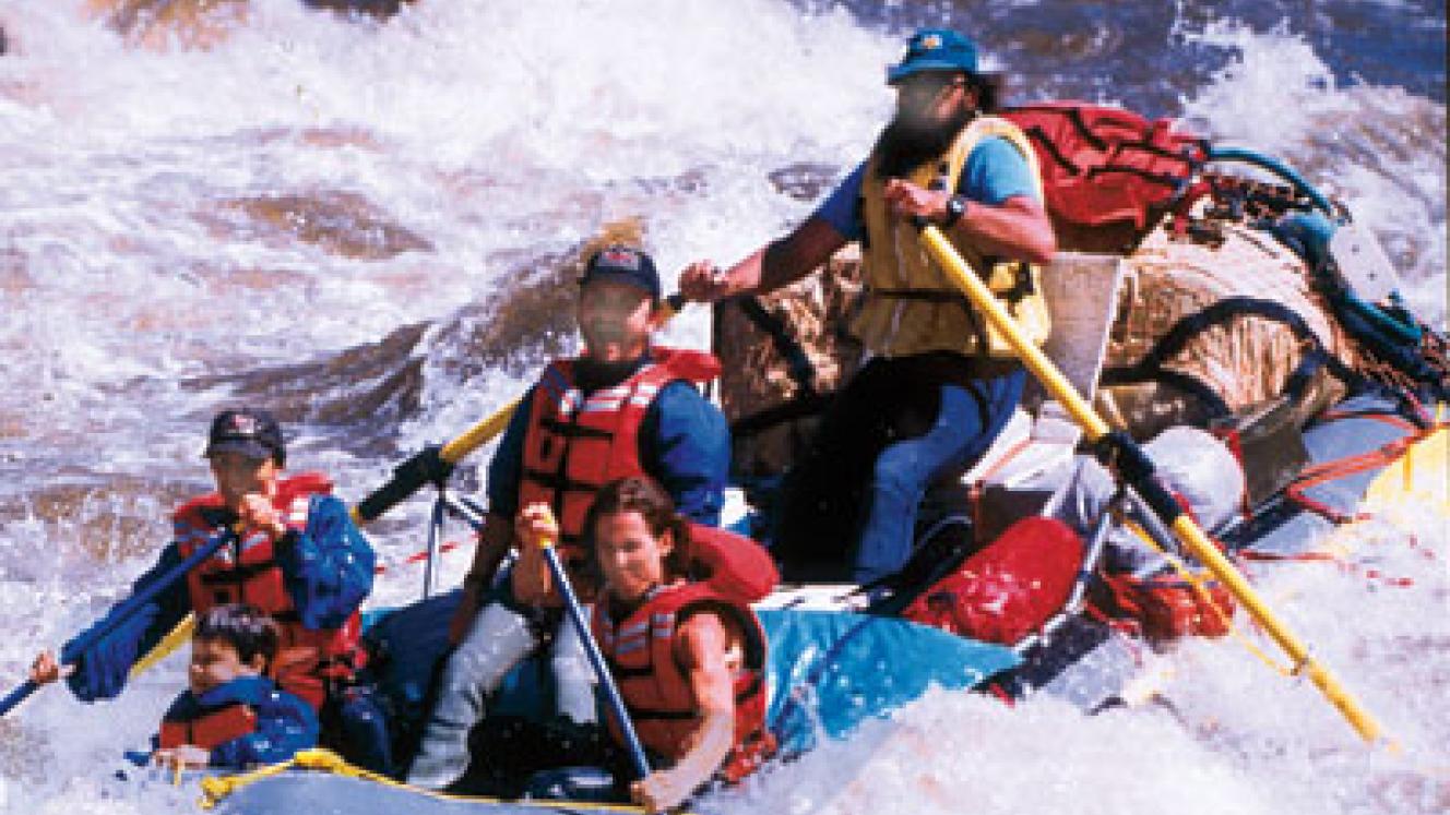 Travellers can book anything from safaris to zip-lining on Tribal Tourist, from anywhere in the world.