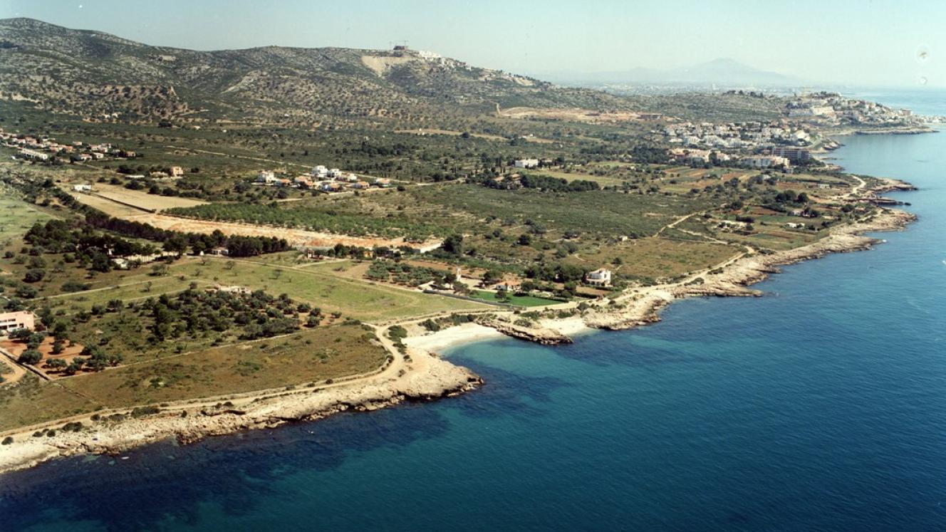 Shark cage diving a part of research on Great White Shark species.
