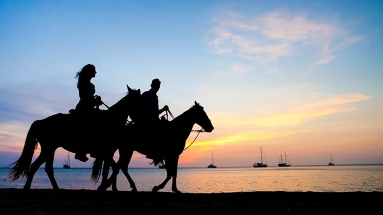 Horseback safaris give riders a different experience of wildlife.