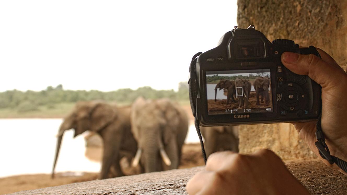 Kenya Tourism Board partners with travel agents. Image credit: mwFilm.