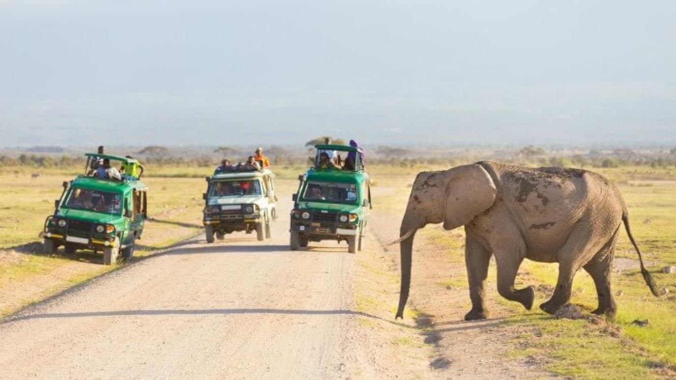 The Kenya Tourism Board provides insights into the Indian travel market.  