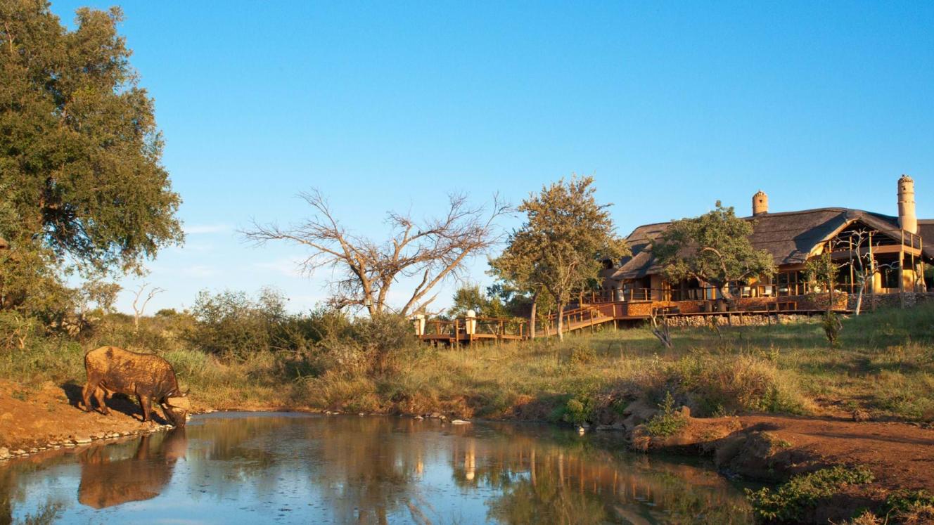 The Royal Madikwe will open bookings on May 1 for the new three-bedroom villa, and will convert the Emperor Suite to a fully equipped gym. 