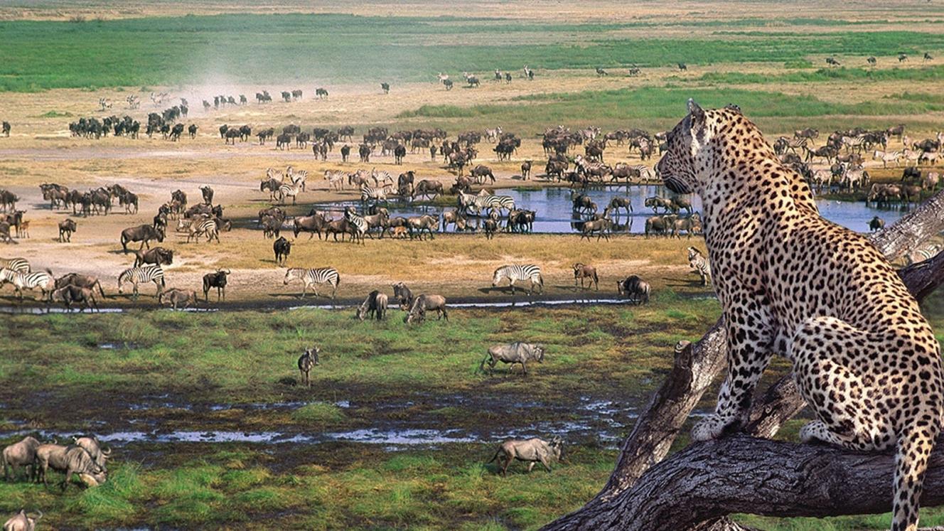 Exploring the trends and impact of seasonality. 