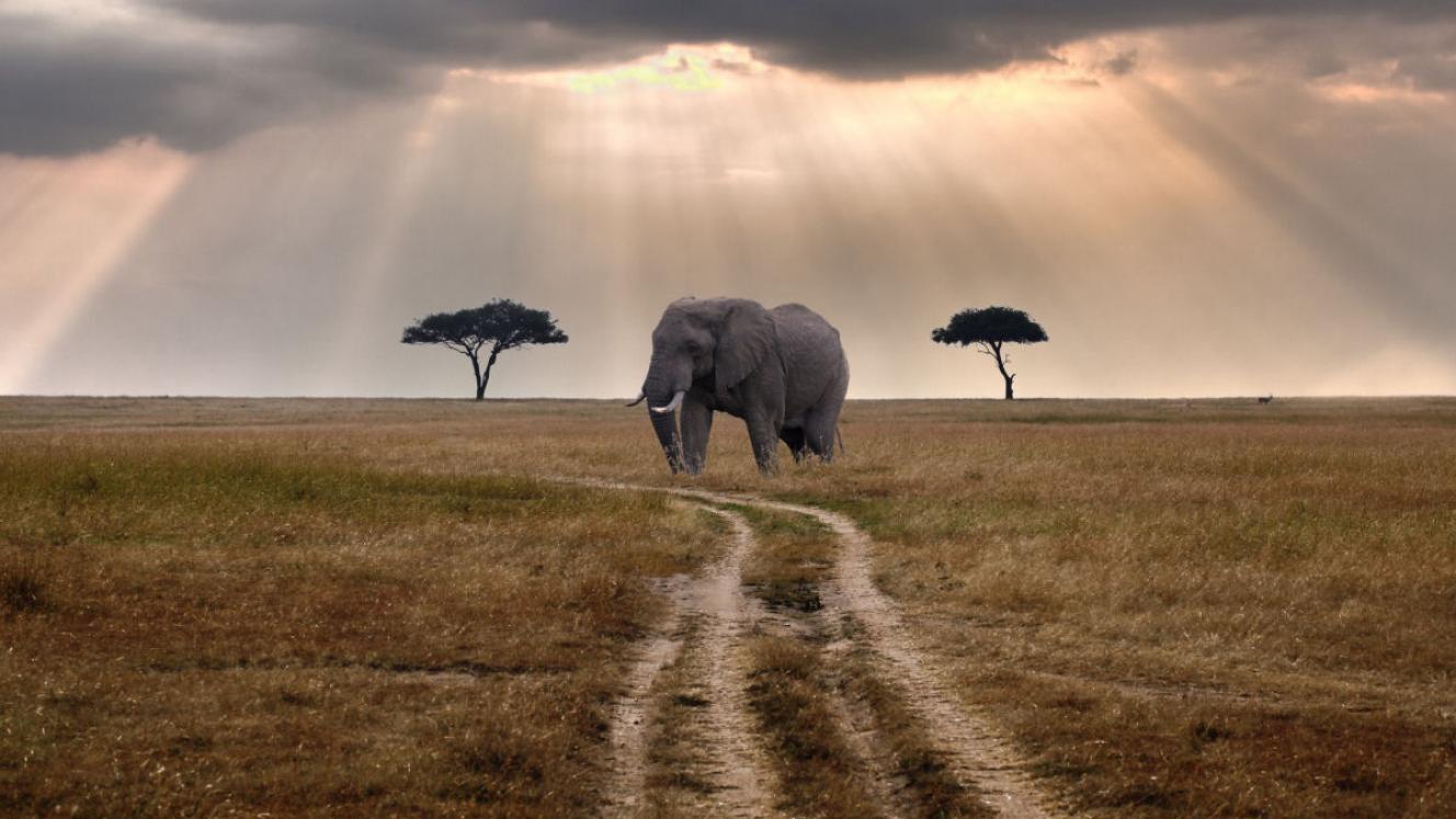 Contract between Tanzania and China indicates increase in Chinese tourists to the country.