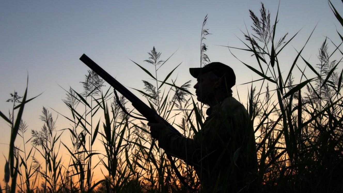 Botswana faces criticism from major source market.