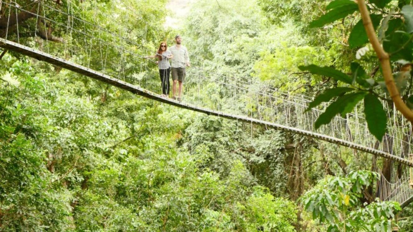 From a treetop walkway to a visit with the Datoga Tribe.