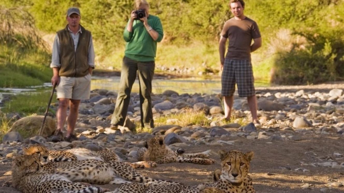 Sleep under the stars and track wildlife in an immersive conservation journey.