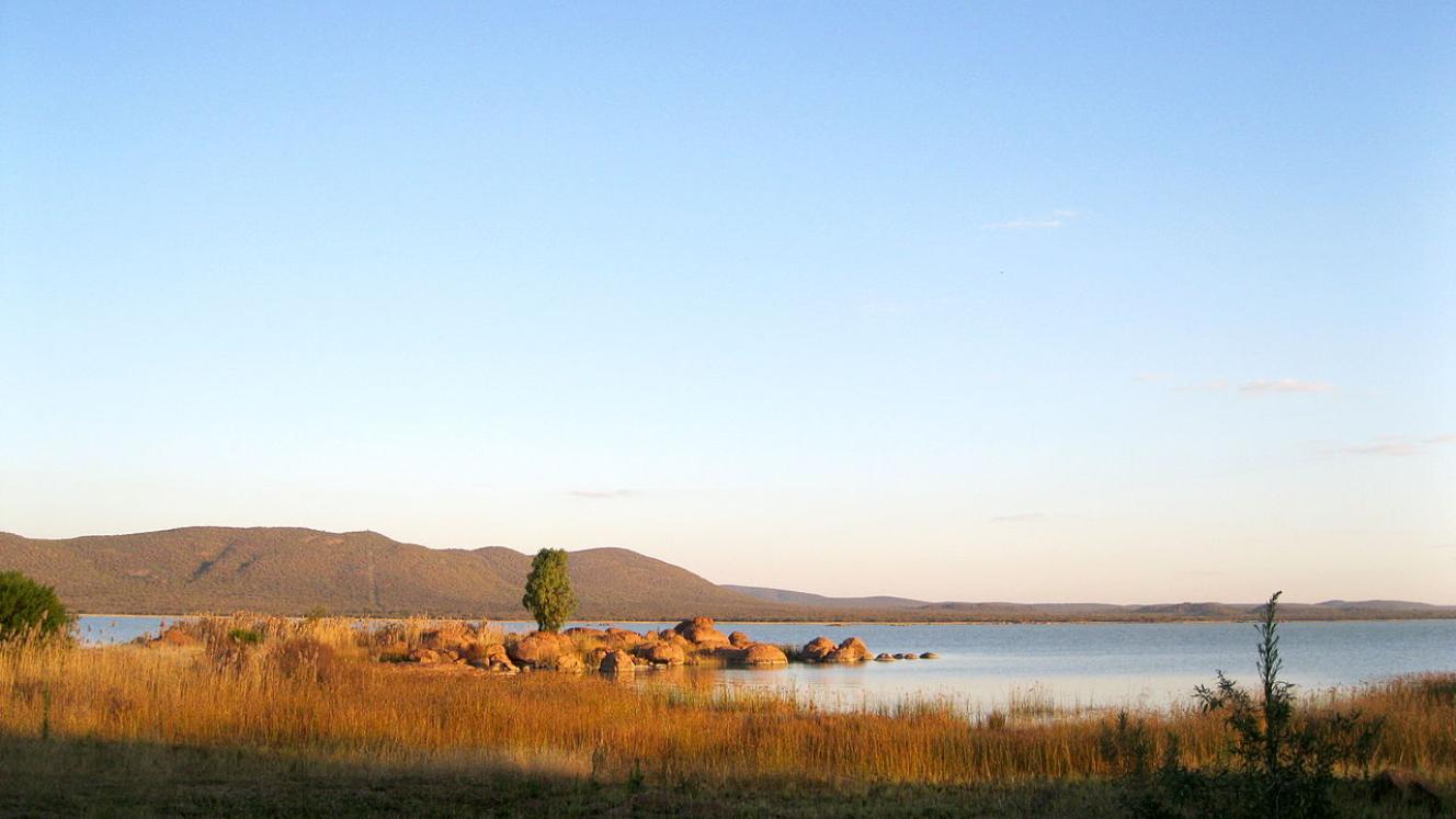 Crocodiles, kudus, jackals, hyenas and baboons are some of the animals that can be spotted on a cruise.