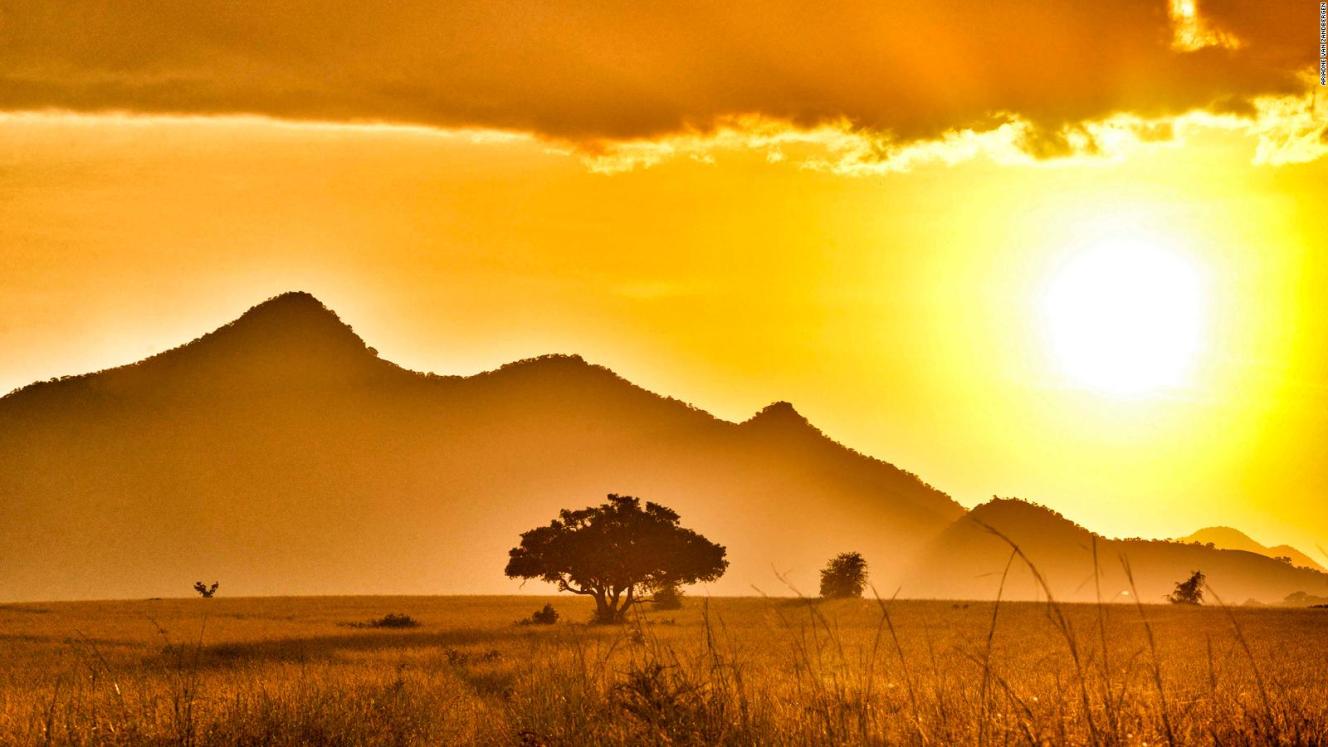 The first online Africa Travel & Safari Show held in February provided valuable insight whilst proving to be efficient, easy to use and accessible. 