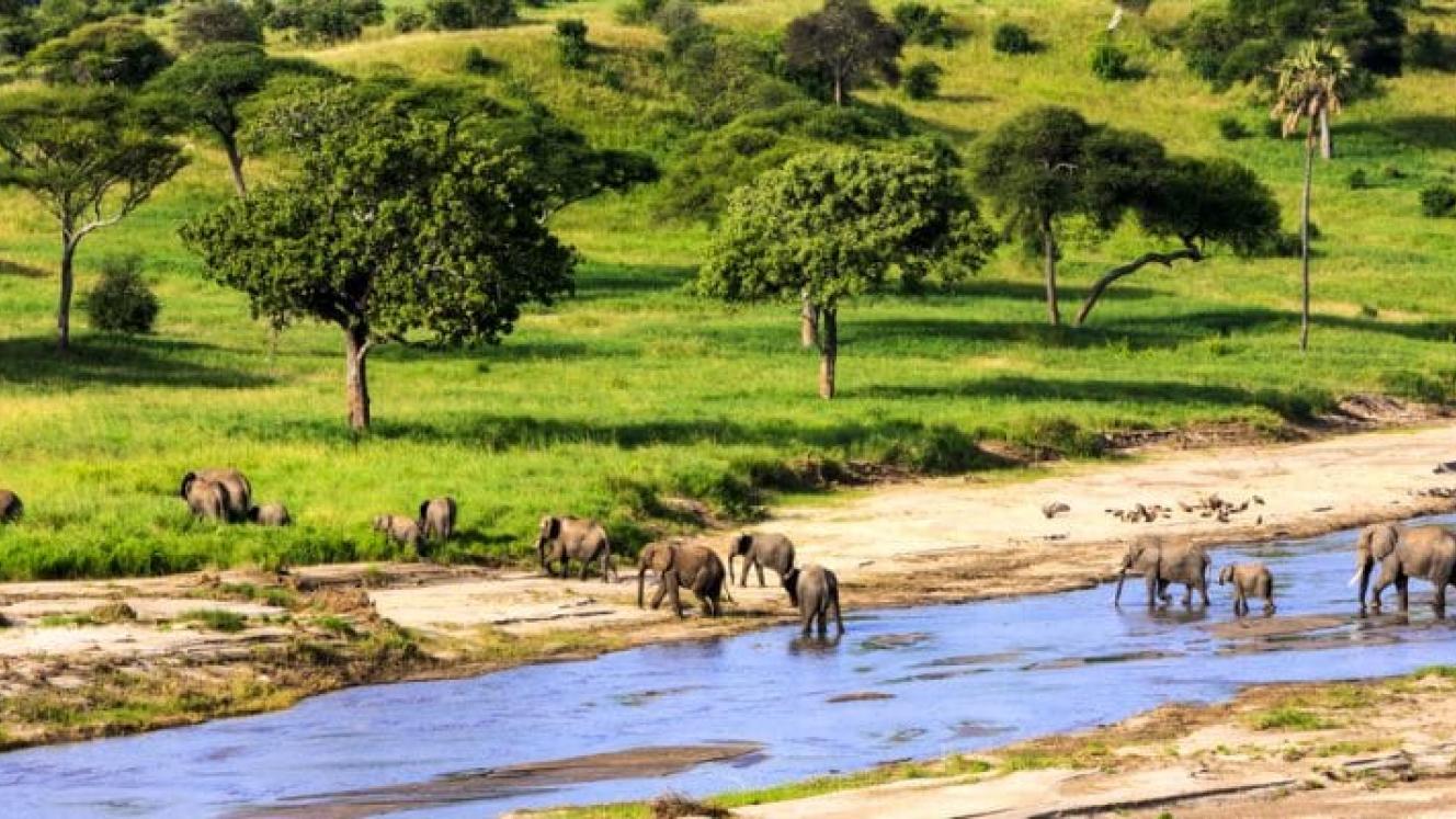 Tourism attractions to become more easily accessible.