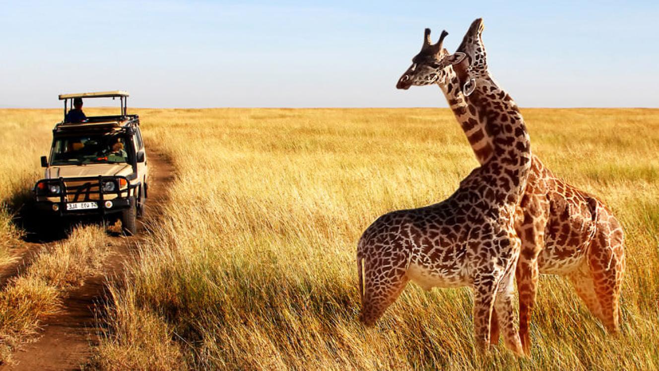 Tanzania Tourism Board to be rebranded.
