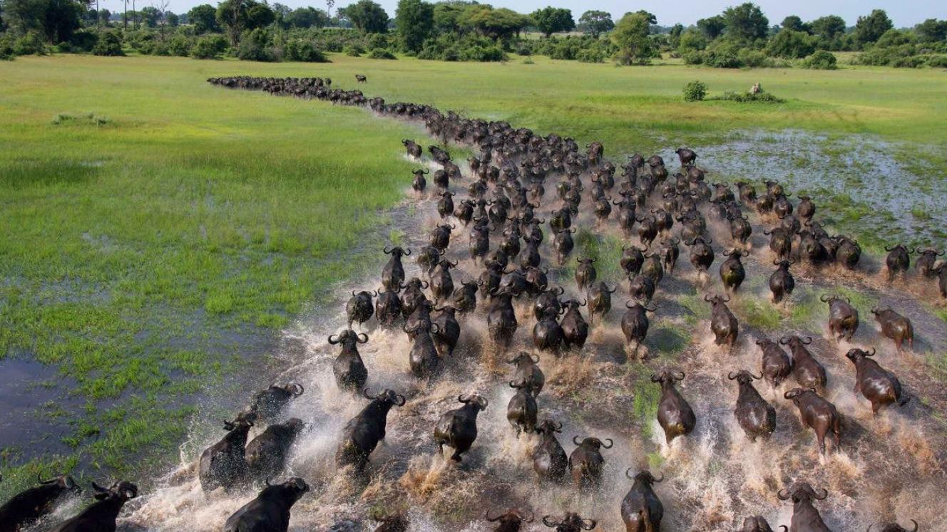 Additional itinerary follows on success of Golden Africa Safaris’ mobile tented and lodge safari combinations.