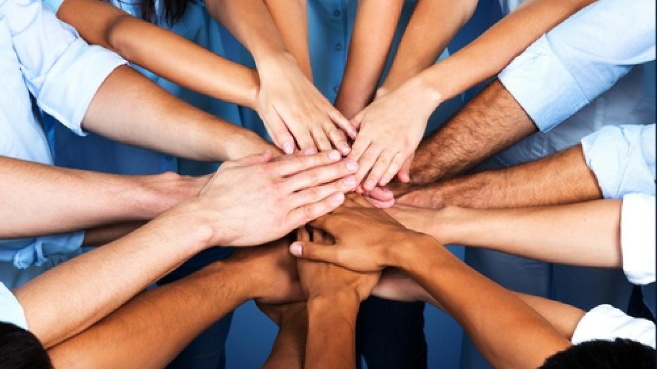 Animal interaction workshops now online.