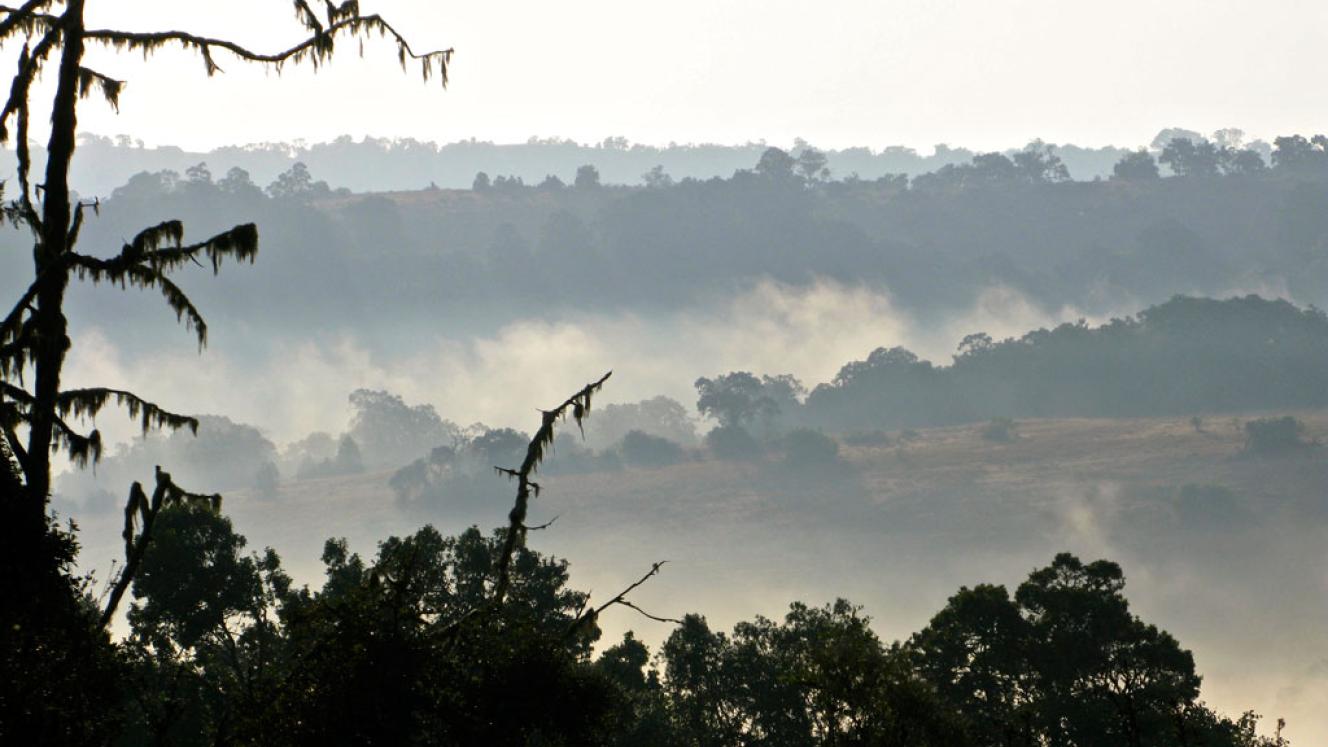 Refurbished airstrip opens access to Loita Hills.