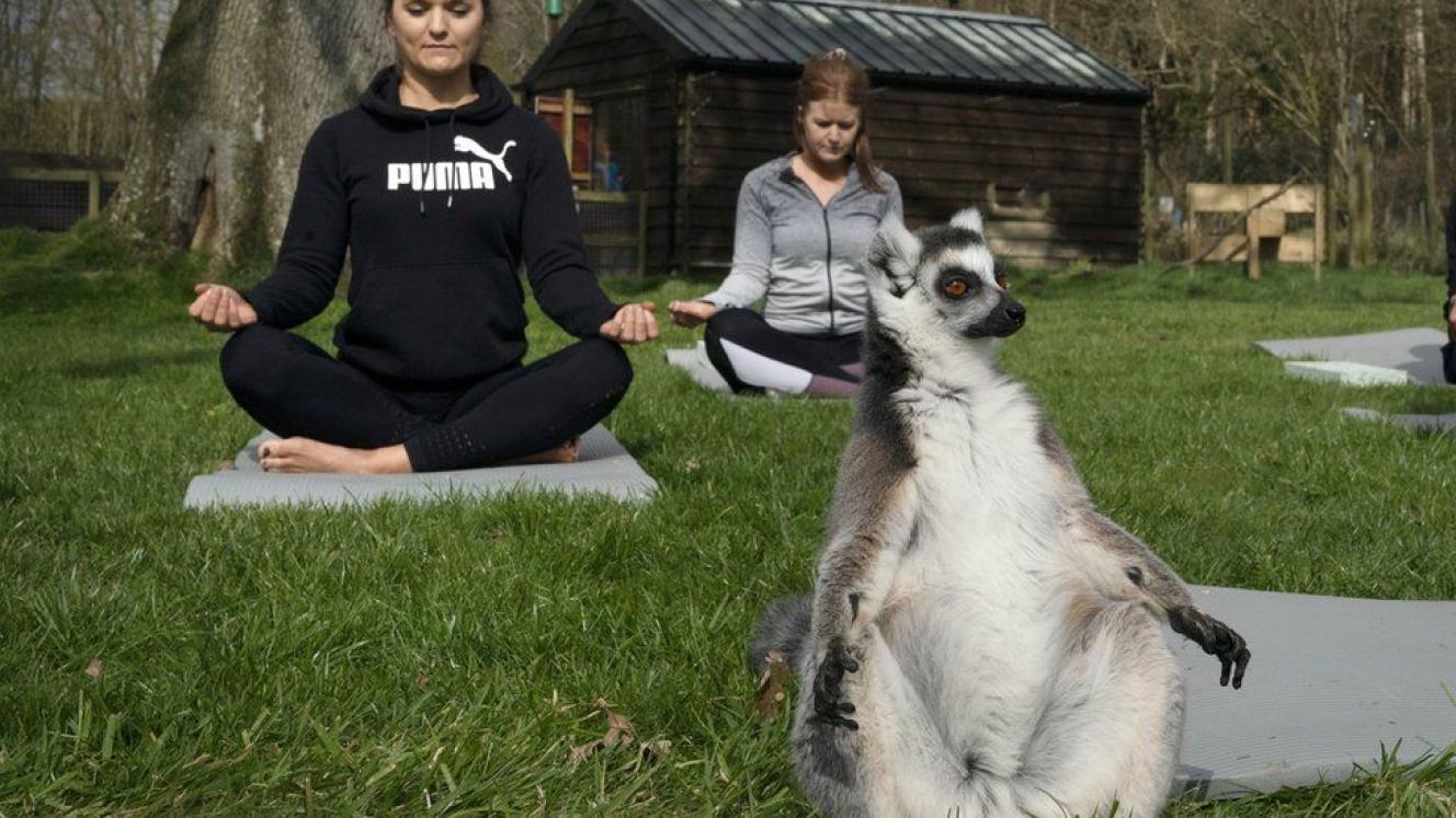 Yoga in nature, with nature.