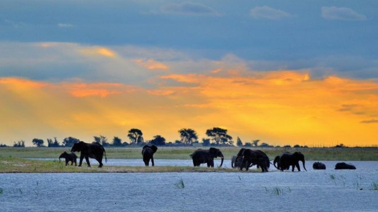 Botswana provides and experience that is worth every cent.