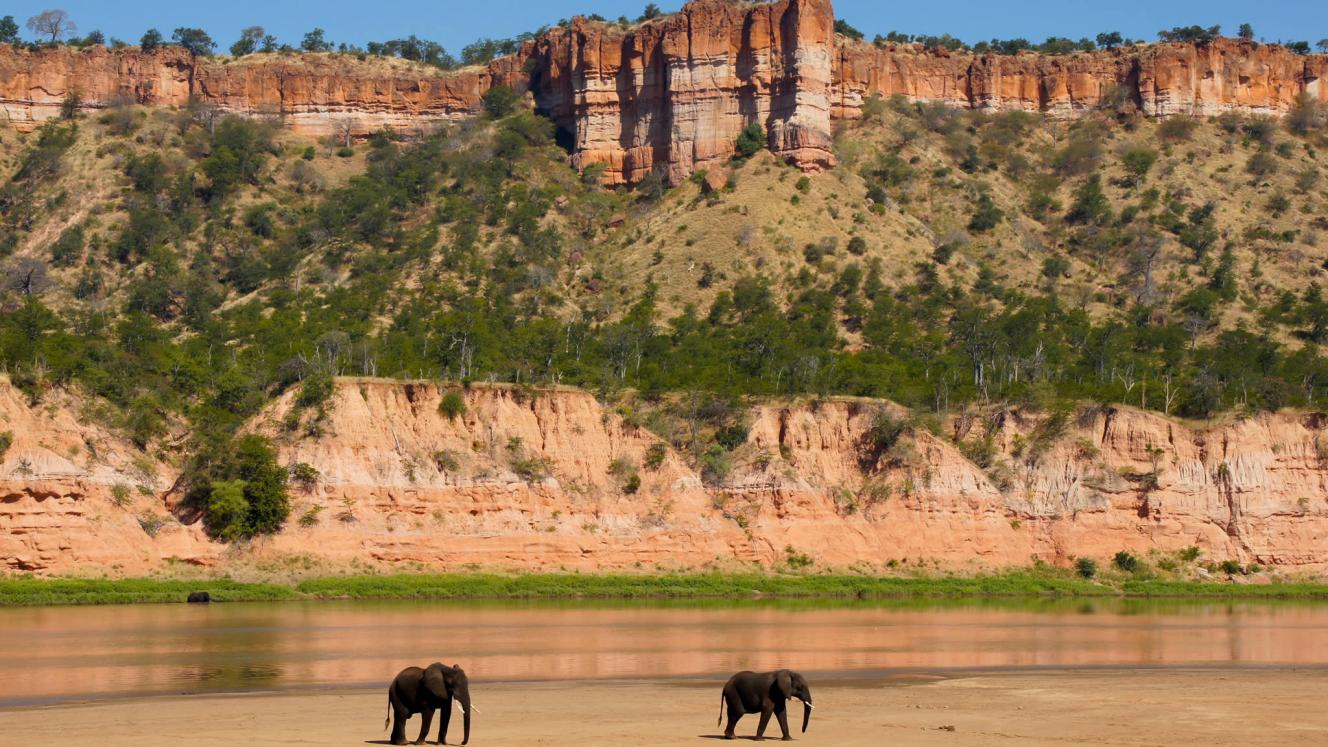 Gonarezhou National Park.