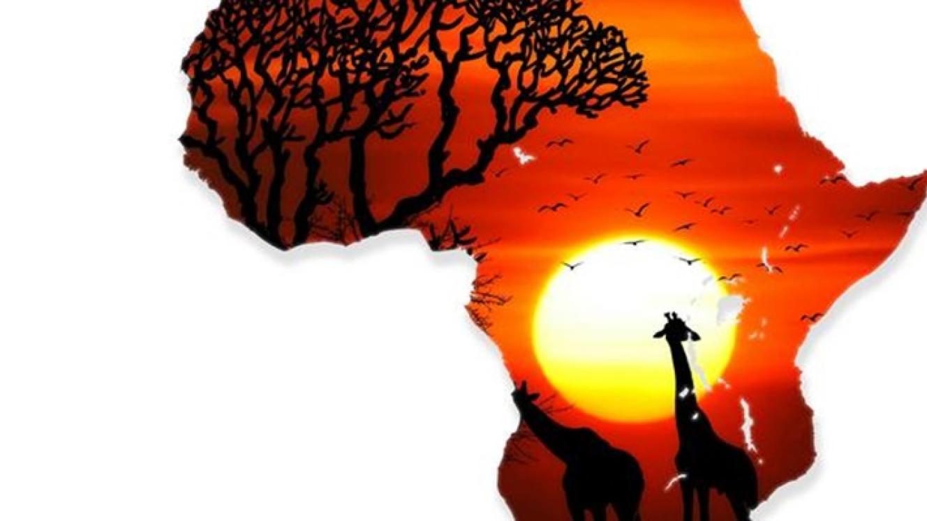 It's all tourism players' responsibility to show showcase Africa at it best.