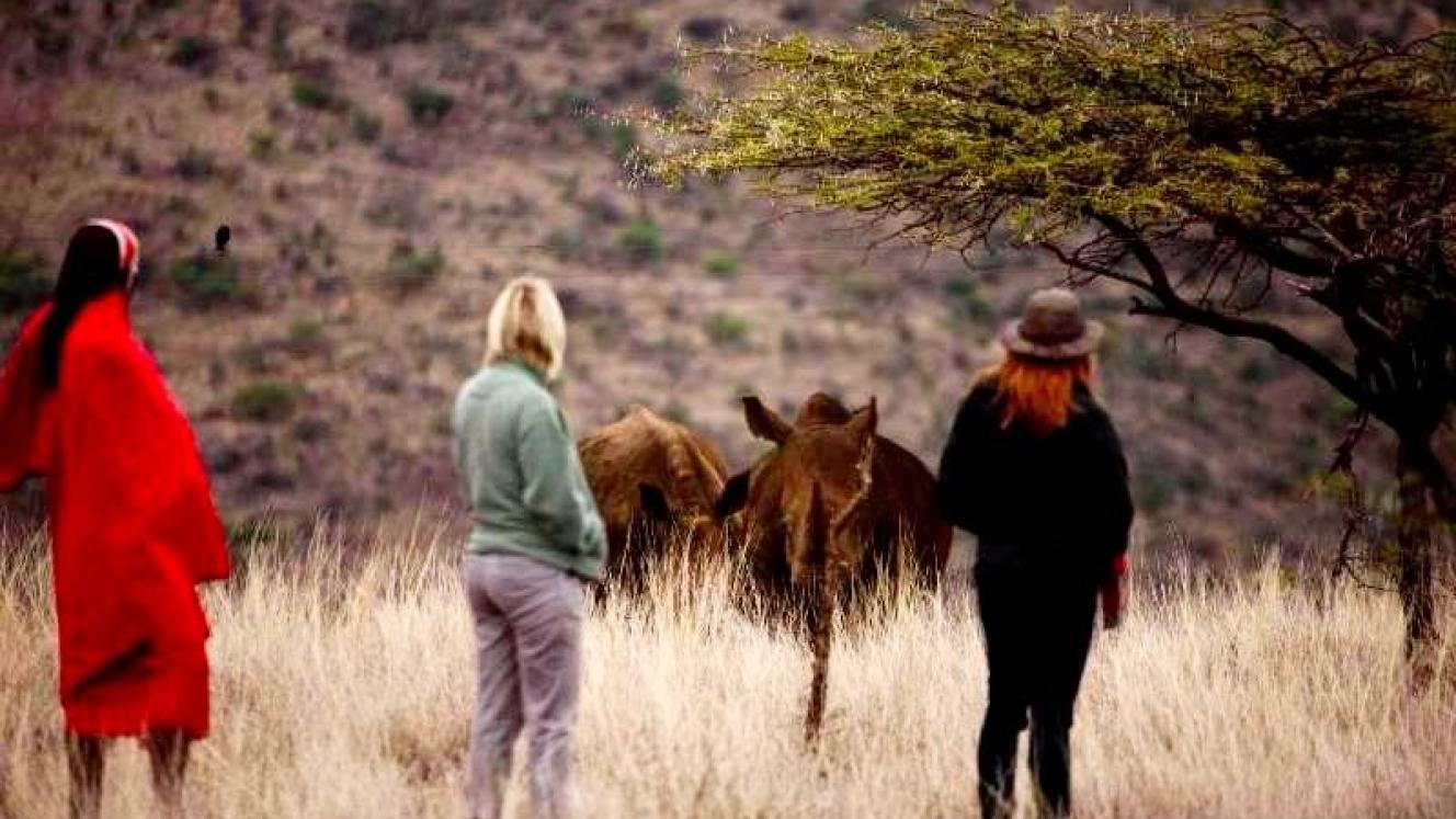 Temporary suspension of walking safaris while Conservancy awaits permits.