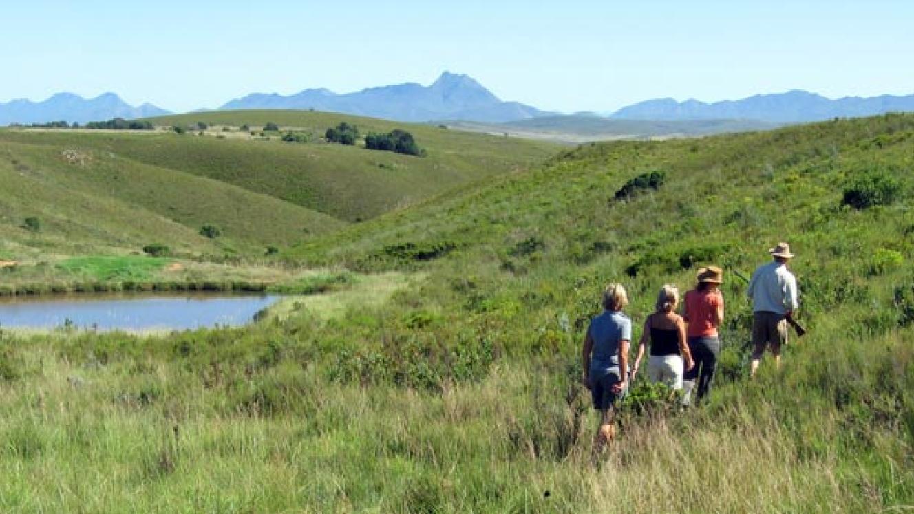 Hiking through the fynbos in Gondwana Game Reserve. Image credit: Gondwana Game Reserve. 