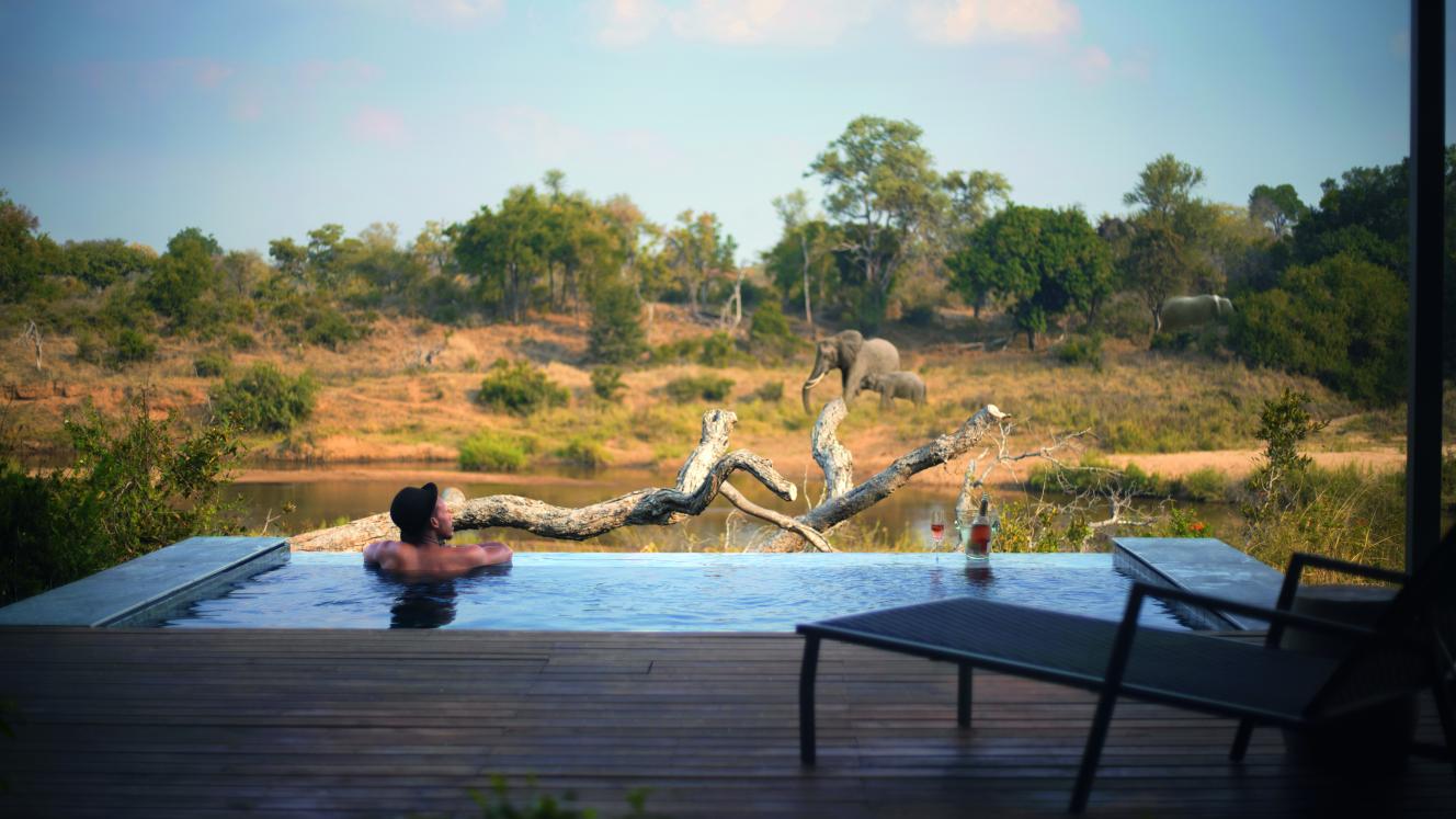 South Africa comes top at Safari Awards Africa 2019.