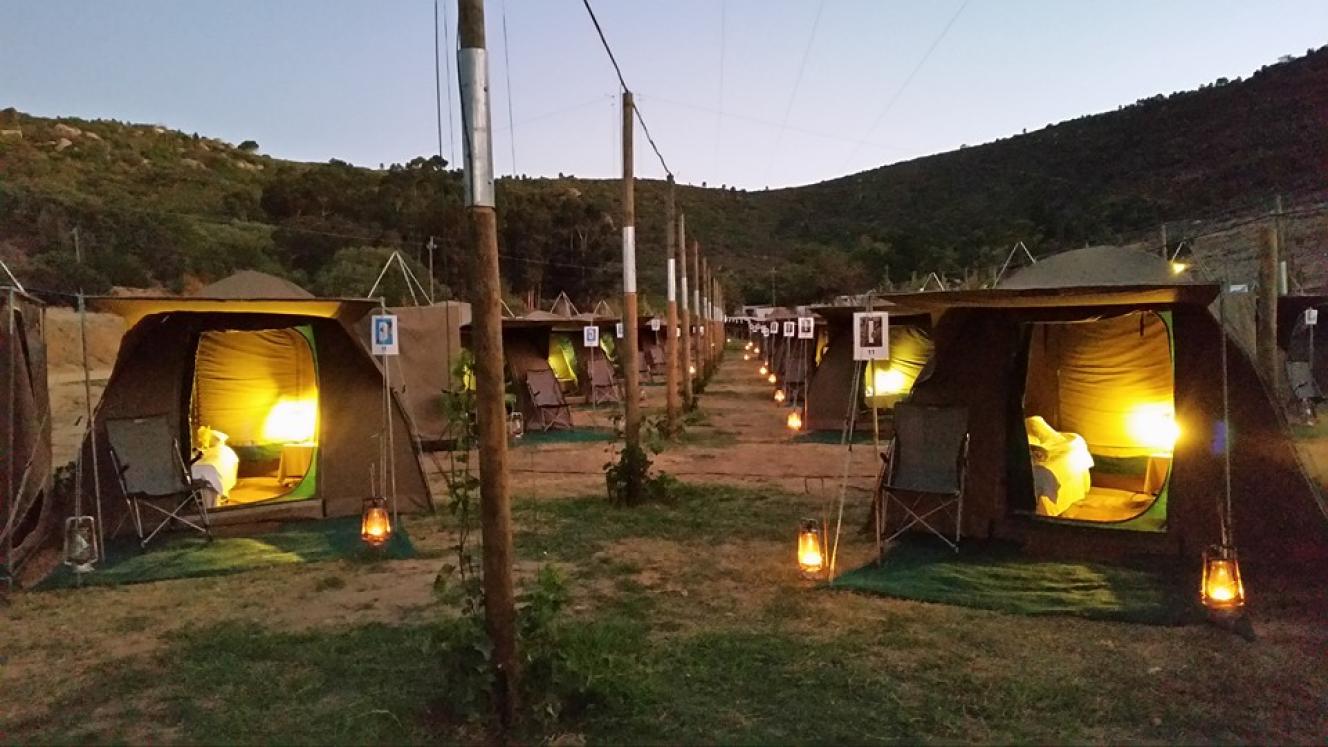 Partnership opens doors for two major tourism players.