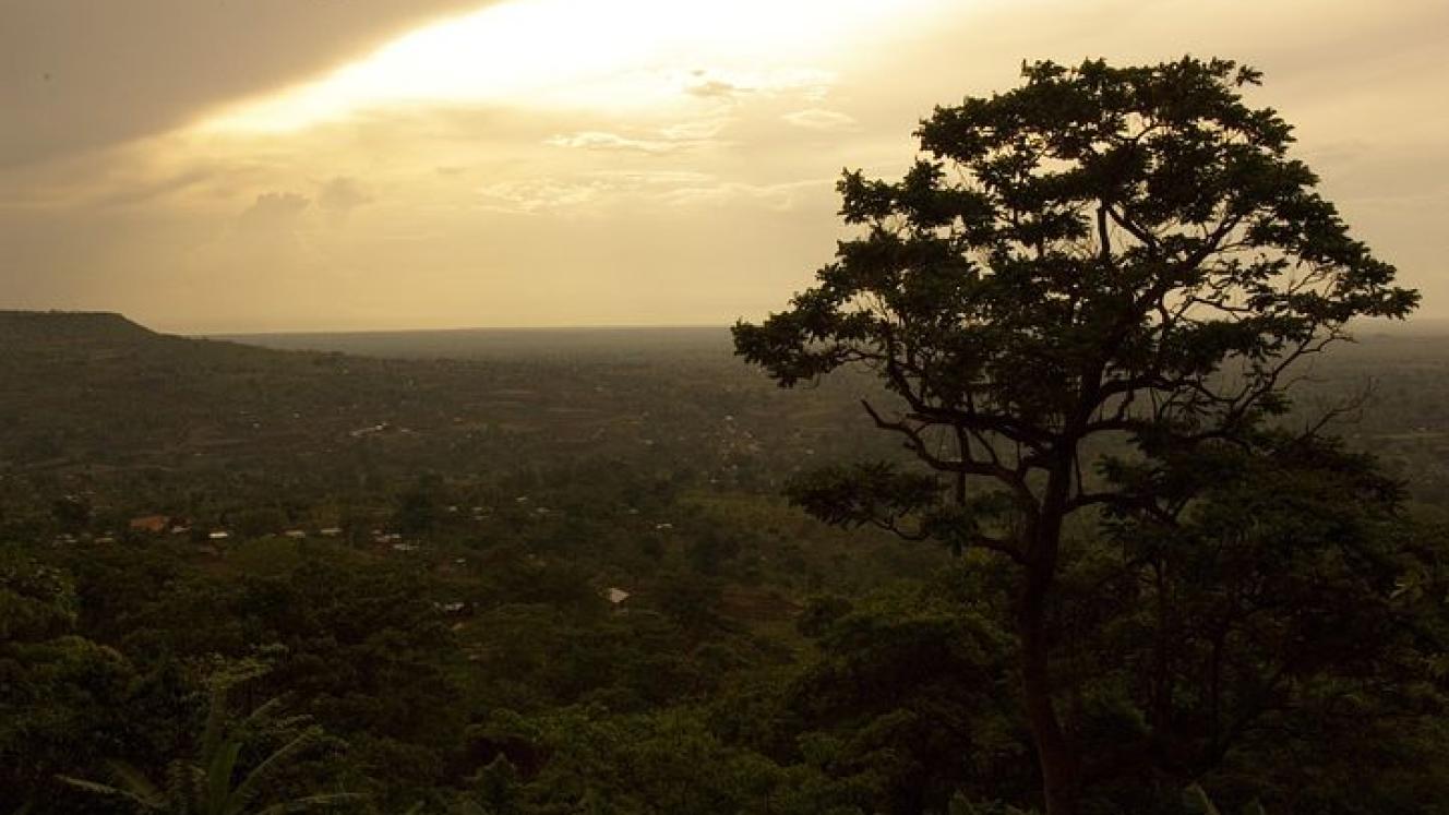 Uganda heads for the Cannes Film Festival.