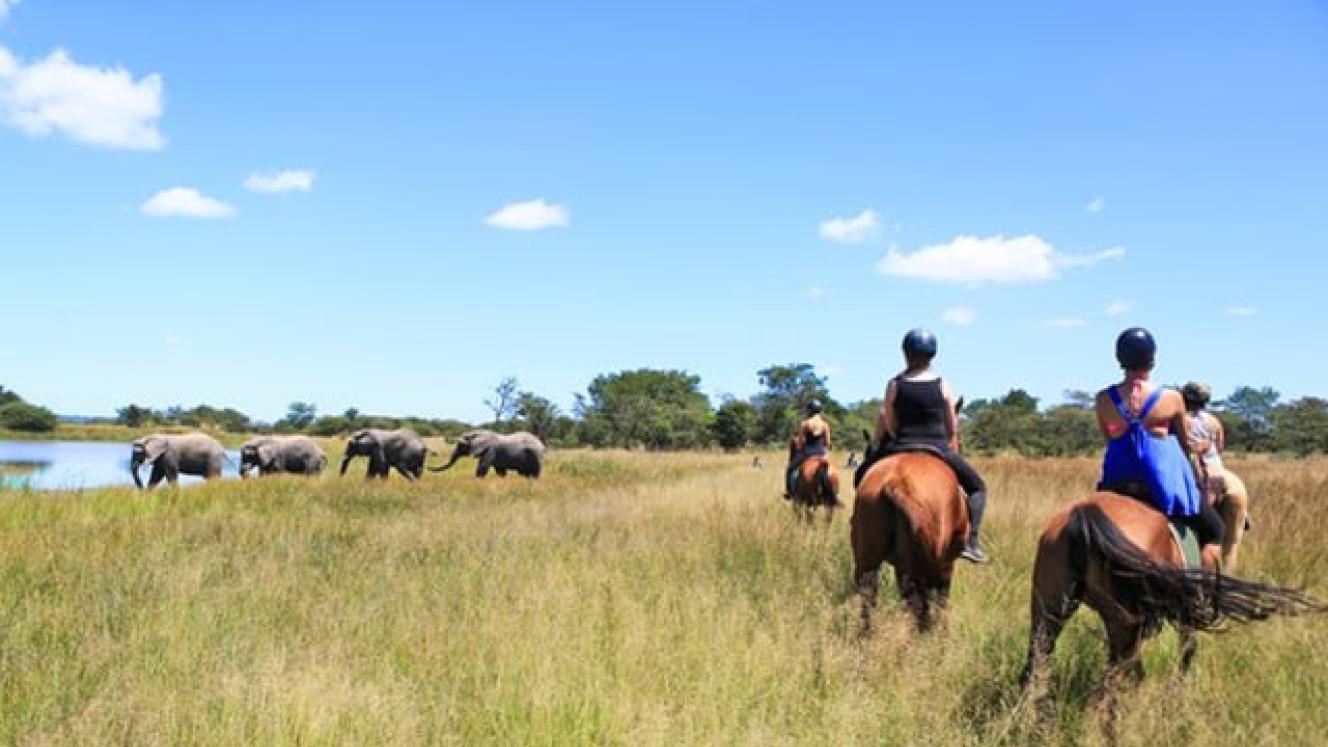 Some of the best wildlife can be seen from horseback.