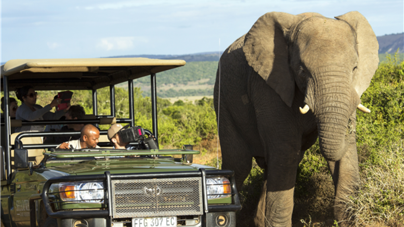 The Africa Showcase brings together suppliers  representing hotels, safari lodges, and destination tourism organisations in Africa with North American travel agents and tour operators.