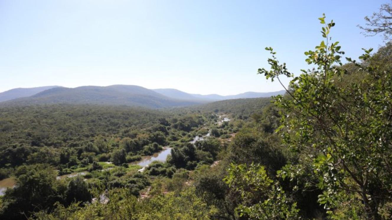 The Lubombo Biosphere Reserve's ecosystems include forest, wetland and savannah.