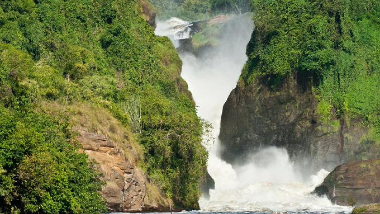 Murchison Falls National Park Wildlife Safari in Uganda.