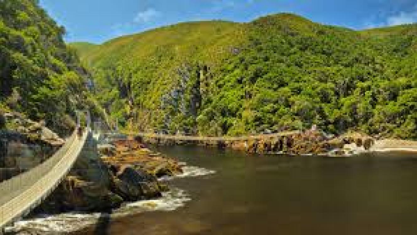 Tsitsikamma National Park, Garden Route National Park, Eastern Cape,