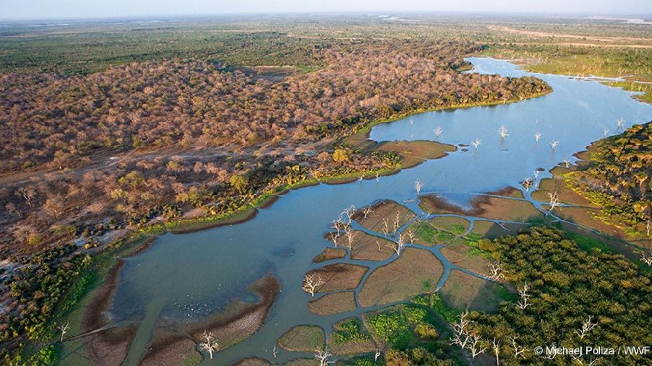 “This is one of the planet’s most biodiversity-rich areas and wise decisions are needed to ensure its protection for future generations.”