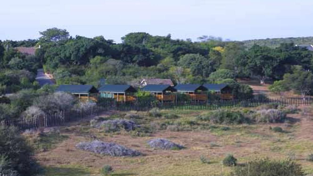Addo Elephant Park Main Camp.