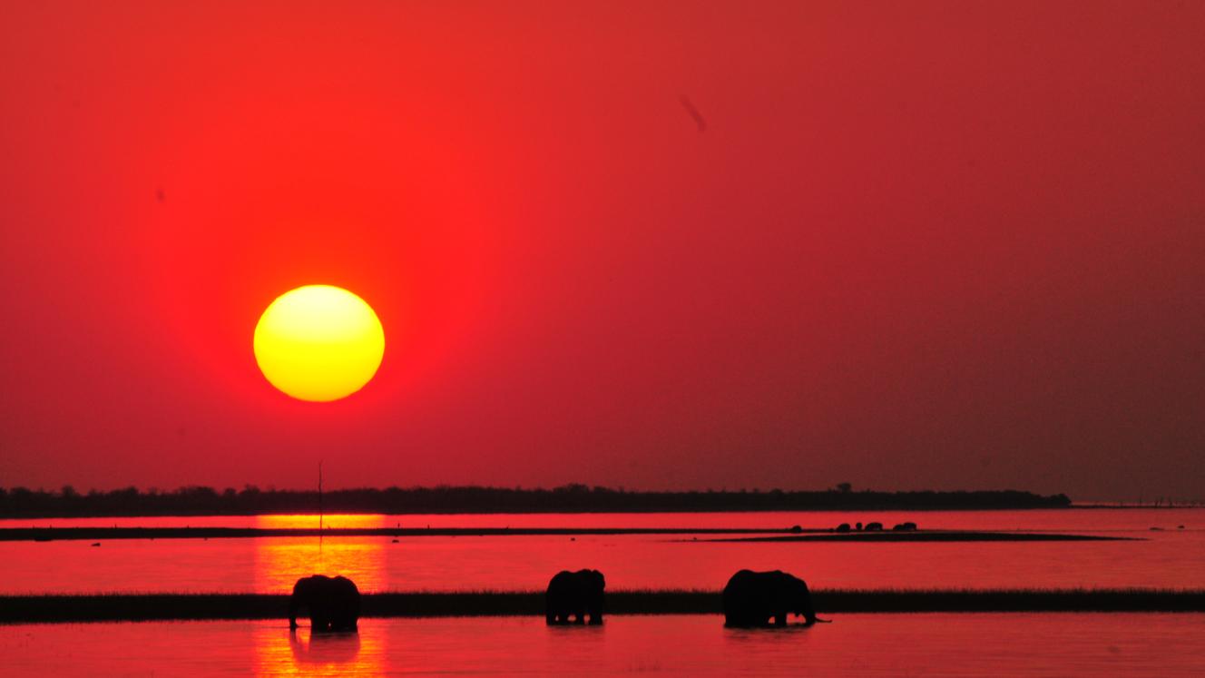 Sunset on Lake Kariba: It’s not often in life – unless you happen to lead an extraordinarily adventurous one – that you get to share a sundowner with a family of elephants.