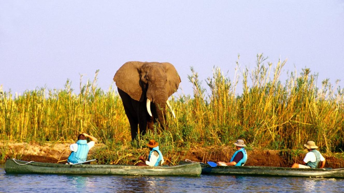 Tourists canoeing in the Lower Zambezi National Park.