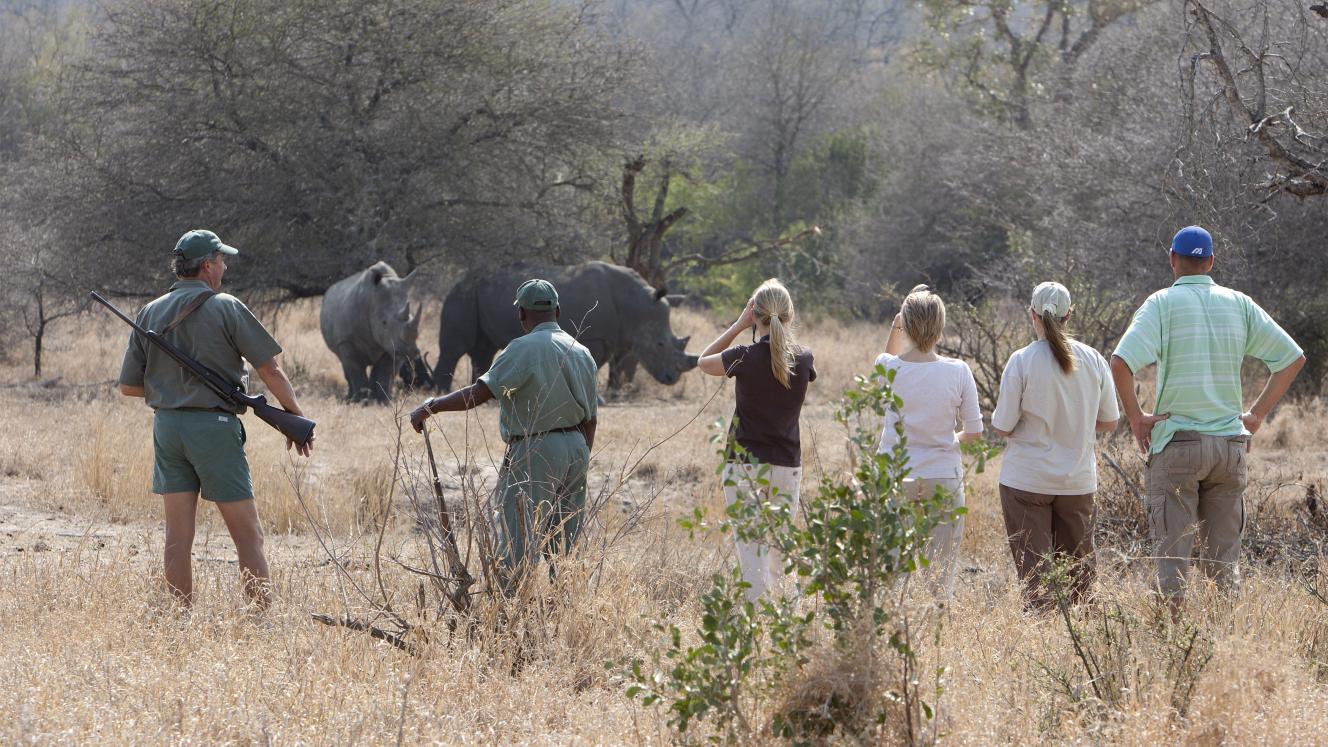 Rhino Walking Safaris Credit: Guy Upfold