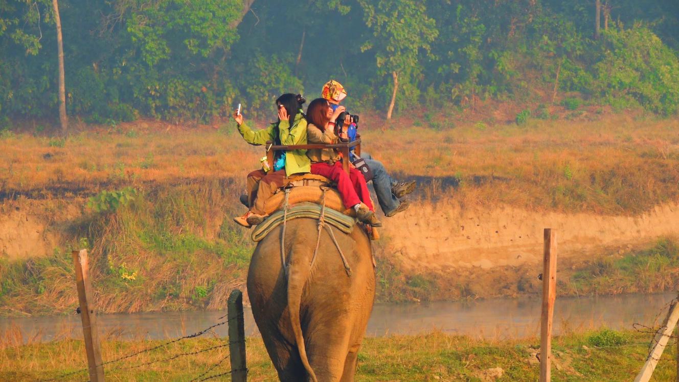 One of the wildlife interactions that are deemed unacceptable according to SATSA guidelines.